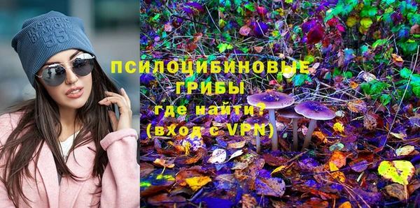 ГАЛЛЮЦИНОГЕННЫЕ ГРИБЫ Аркадак