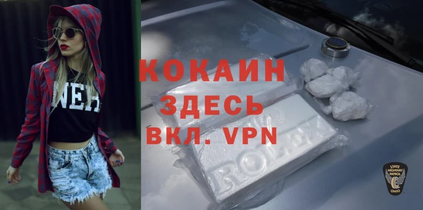 ГАЛЛЮЦИНОГЕННЫЕ ГРИБЫ Аркадак
