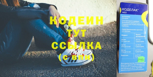 ГАЛЛЮЦИНОГЕННЫЕ ГРИБЫ Аркадак
