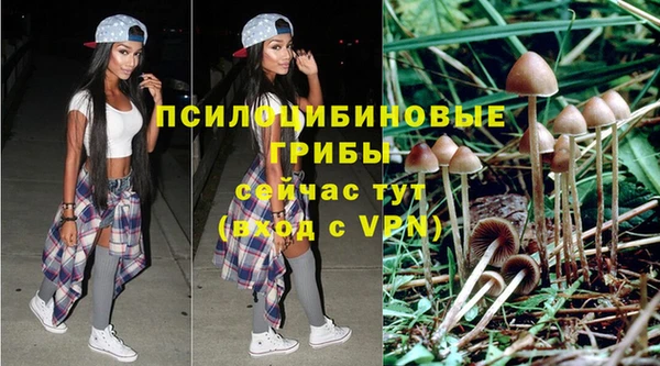 apvp Арсеньев