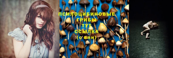 apvp Арсеньев
